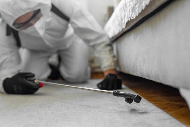 Professional Pest Control technician working in Watauga County County, NC